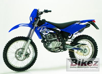 2006 Beta RR 125 4T photo